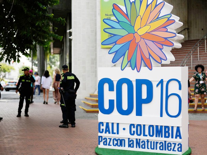 Hội nghị COP16: Lời hứa của nhân loại với hành tinh ảnh 1