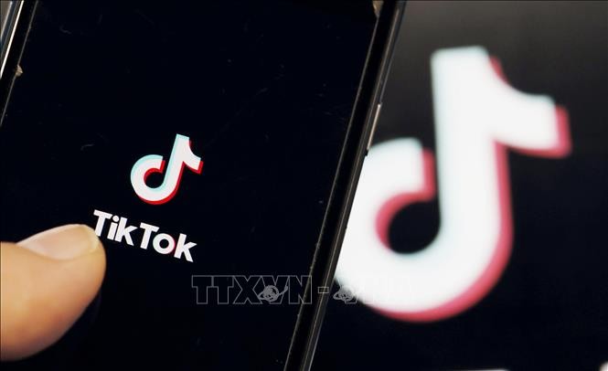 TikTok đối mặt với vụ kiện tập thể sau khi 2 trẻ tự tử tại Pháp ảnh 1