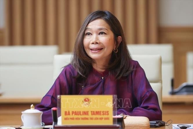 Thủ tướng tiếp tiếp Điều phối viên Thường trú và các Trưởng đại diện các tổ chức LHQ Việt Nam ảnh 4