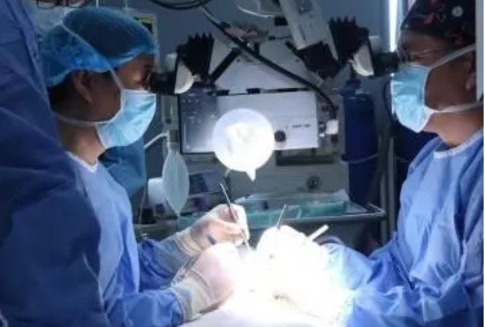 Khỉ sống 6 tháng nhờ thận lợn chỉnh sửa gene ảnh 1