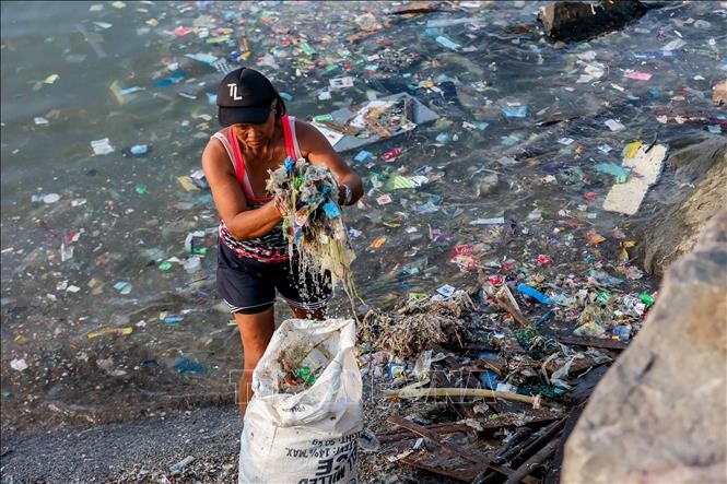 Bọt biển từ bông và xương mực hút hơn 99% vi nhựa trong nước ảnh 1