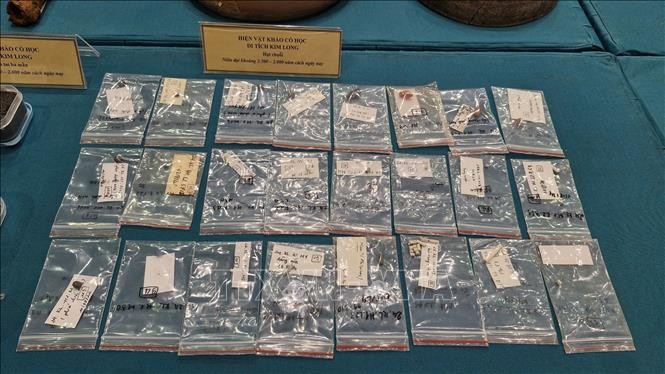 Nhiều phát hiện mới sau khai quật 3 di tích khảo cổ học tại tỉnh Bà Rịa - Vũng Tàu ảnh 2