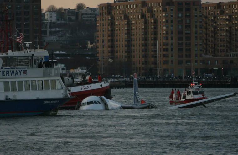 Những thảm kịch hàng không khó tin do máy bay va phải chim ảnh 3