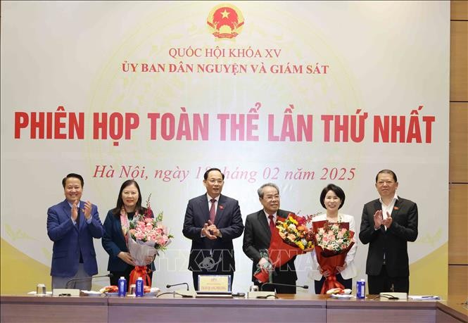 Phiên họp toàn thể lần thứ nhất của Ủy ban Dân nguyện và Giám sát ảnh 1