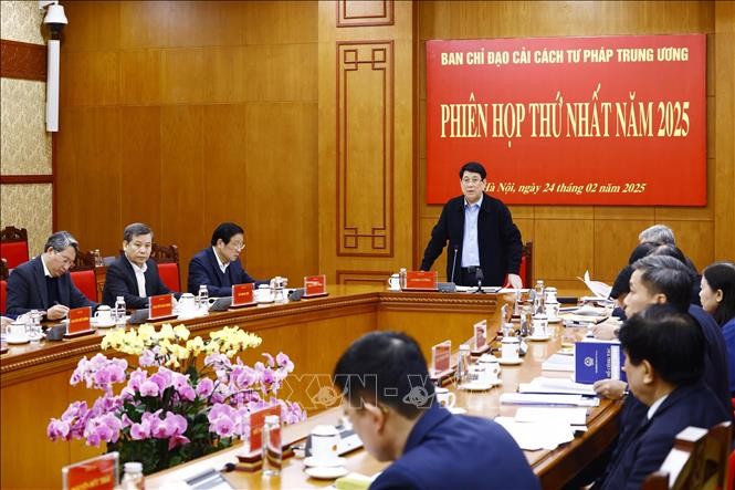 Chủ tịch nước chủ trì họp Ban Chỉ đạo Cải cách Tư pháp Trung ương ảnh 2