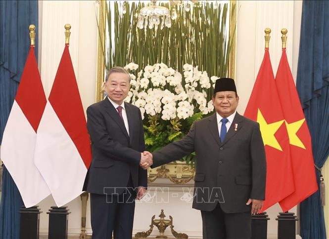 Tổng Bí thư Tô Lâm hội đàm với Tổng thống Indonesia Prabowo Subianto ảnh 1