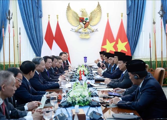Tổng Bí thư Tô Lâm hội đàm với Tổng thống Indonesia Prabowo Subianto ảnh 3