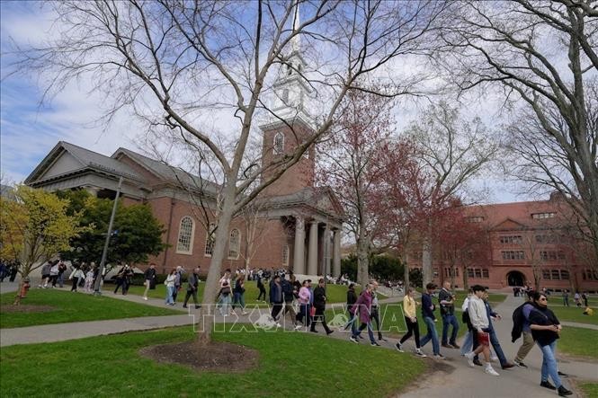 Du học sinh tại Mỹ sống trong nỗi lo bị tước thị thực và trục xuất không rõ lý do ảnh 1