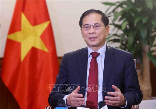 Tạo nền tảng vững chắc đưa quan hệ song phương giữa Việt Nam và các nước lên tầm cao mới ảnh 1