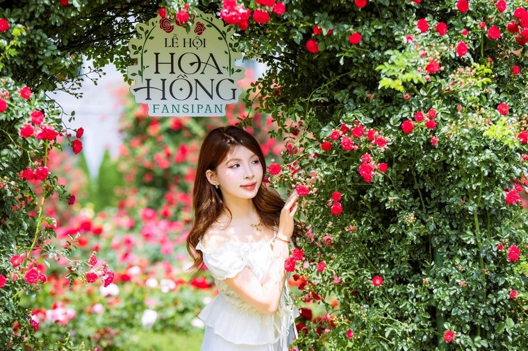 Đỉnh thiêng Fansipan tổ chức lễ mừng Phật đản năm 2025 ảnh 6