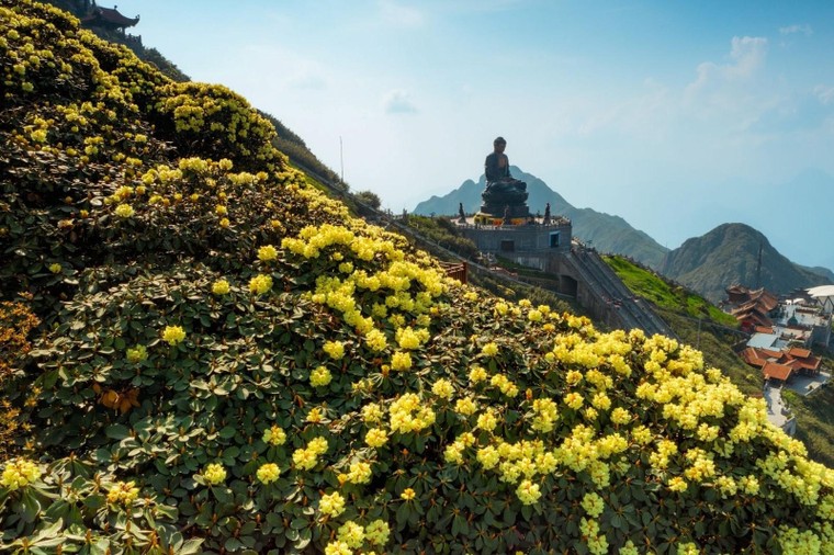 Đỉnh thiêng Fansipan tổ chức lễ mừng Phật đản năm 2025 ảnh 7