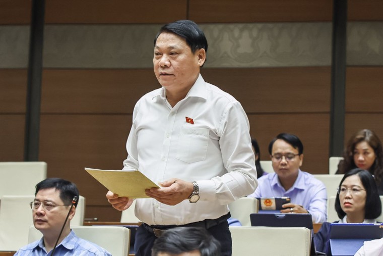 Đại biểu Quốc hội đề nghị giữ nguyên khoản thu tiền sử dụng đất ảnh 1
