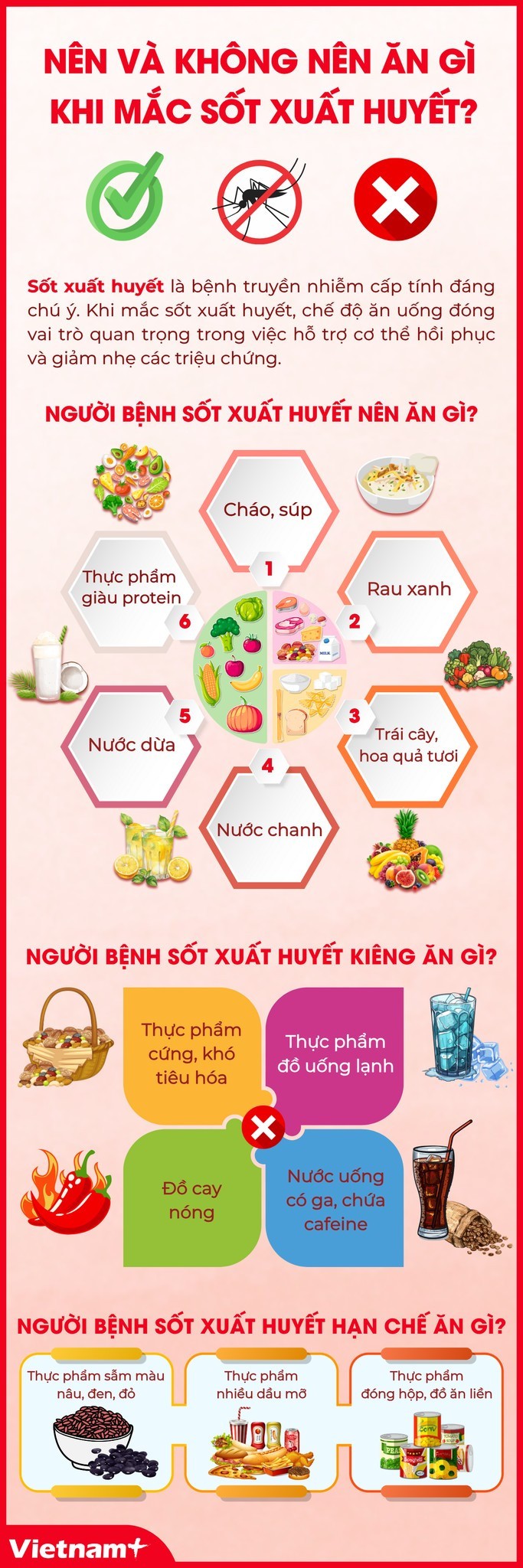 Nên và không nên ăn gì khi mắc bệnh sốt xuất huyết? ảnh 1