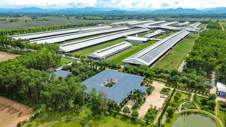 Việt Nam có thương hiệu sữa được đánh giá tiềm năng nhất toàn cầu ảnh 3