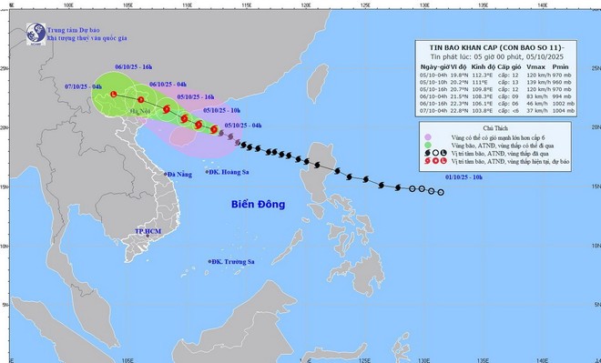 Bão số 11-Matmo sắp đổ bộ Vịnh Bắc Bộ, cảnh báo mưa lớn diện rộng ảnh 1