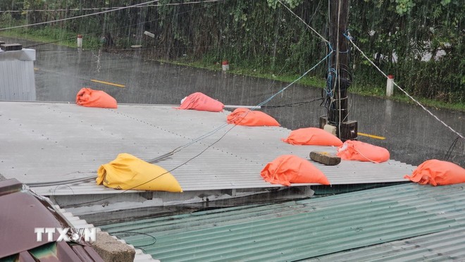 14 tỉnh, thành phố phía Bắc triển khai các biện pháp ứng phó bão số 11 ảnh 1