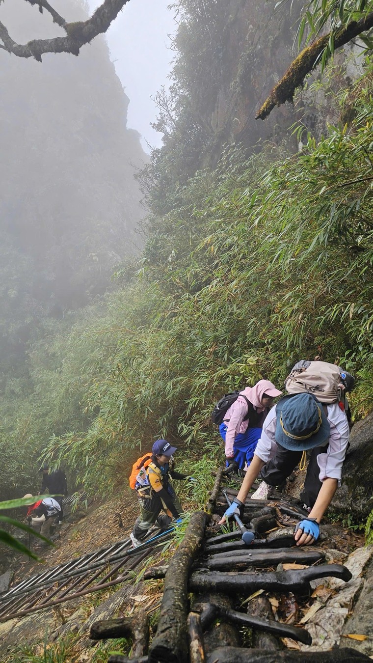 Chinh phục Fansipan: Khi Văn hóa “One team” hóa thành sức mạnh ảnh 3