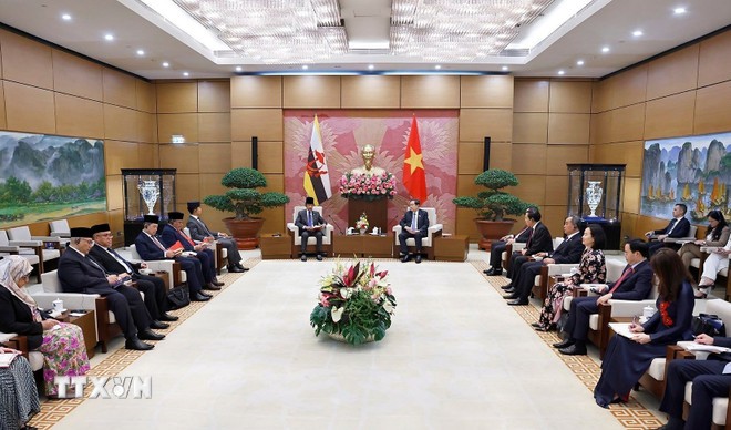 Tuyên bố chung Việt Nam-Brunei Darussalam ảnh 3