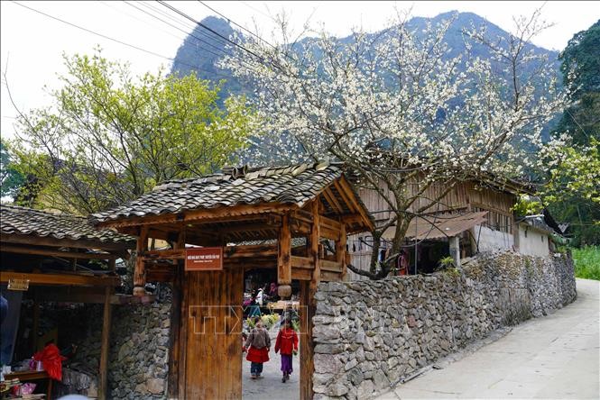 Du lịch Việt Nam 2025: Điểm sáng trong bức tranh tăng trưởng kinh tế, xã hội ảnh 1