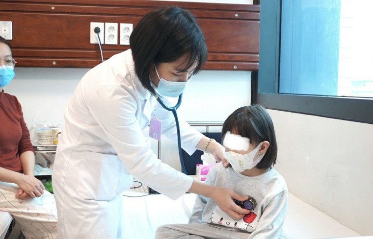 Hà Nội tập trung xử lý nhiều dịch bệnh, không để bùng phát trong dịp Tết ảnh 1