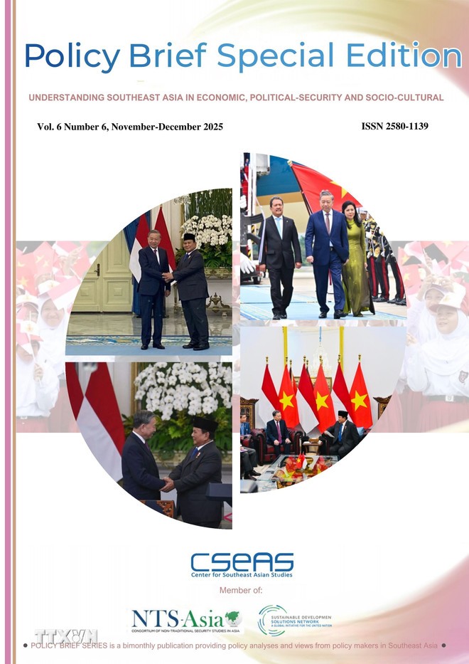 Việt Nam và Indonesia: Hai trụ cột thúc đẩy Cộng đồng Kinh tế ASEAN ảnh 1