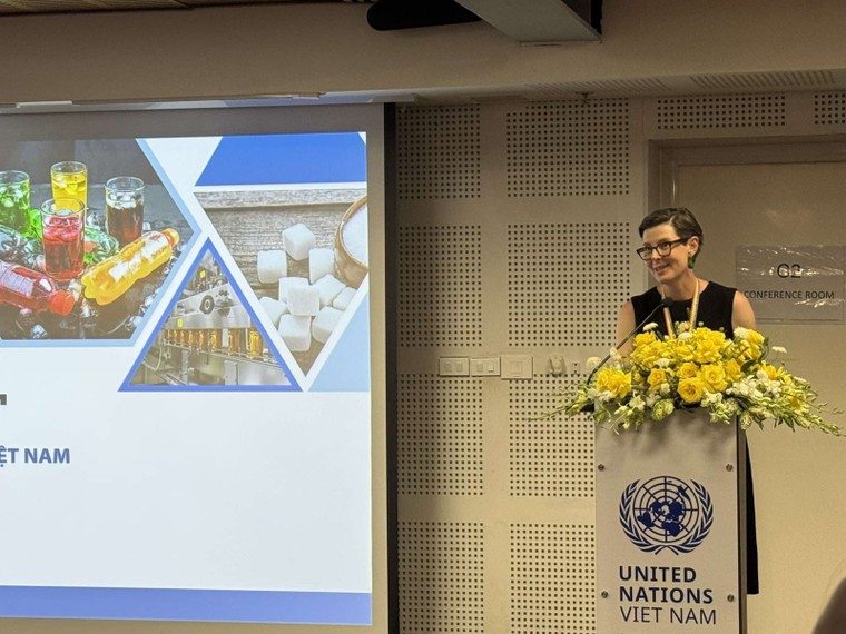 WHO tự hào là đối tác của Chính phủ Việt Nam ảnh 1