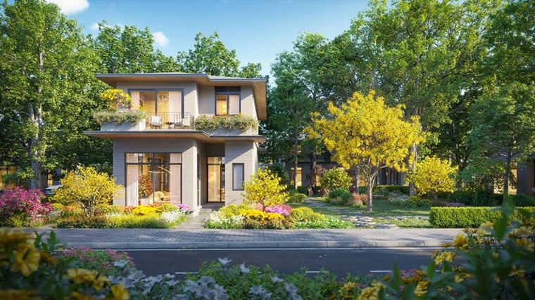 Rừng Mai: Mảnh ghép đầu tiên mở ra Mùa Lễ hội tại Eco Retreat ảnh 1