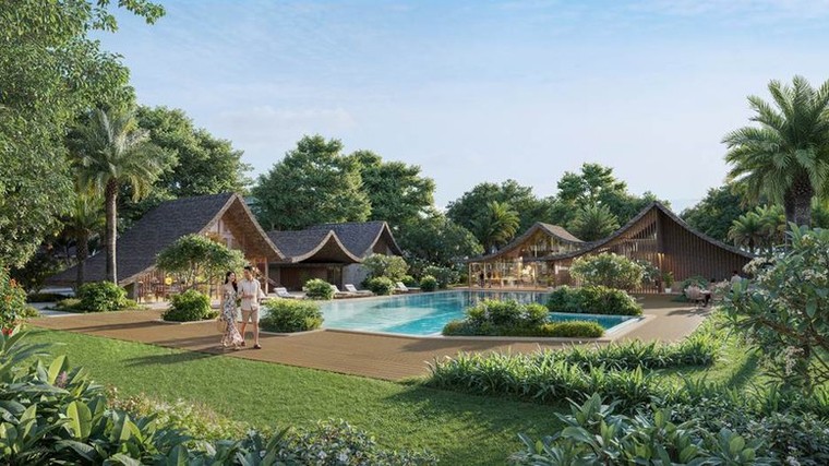 Rừng Mai: Mảnh ghép đầu tiên mở ra Mùa Lễ hội tại Eco Retreat ảnh 3