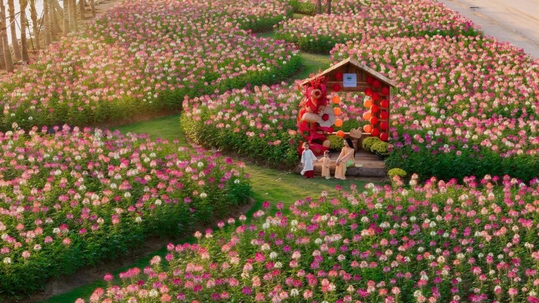 Ecopark tràn ngập sắc hoa tại các đại đô thị khắp 3 miền dịp Tết Bính Ngọ 2026 ảnh 4