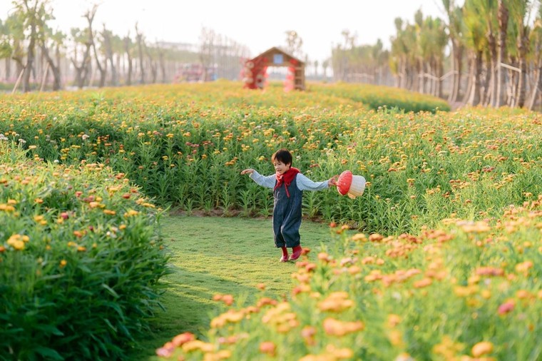 Ecopark tràn ngập sắc hoa tại các đại đô thị khắp 3 miền dịp Tết Bính Ngọ 2026 ảnh 5