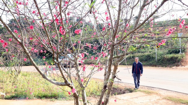 "Bỏ túi" những kinh nghiệm giữ gìn sức khỏe, vững vàng chào đón năm mới ảnh 1