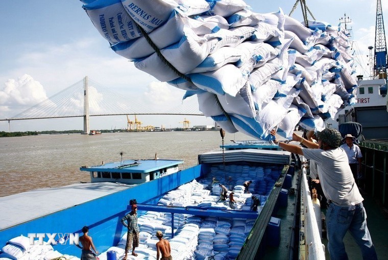 Xuất khẩu 2026: Áp lực từ "gió ngược" toàn cầu và lời giải tăng cường nội lực ảnh 3