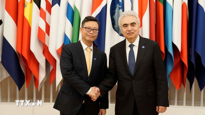 Việt Nam chính thức trở thành quốc gia liên kết của Cơ quan Năng lượng Quốc tế ảnh 2