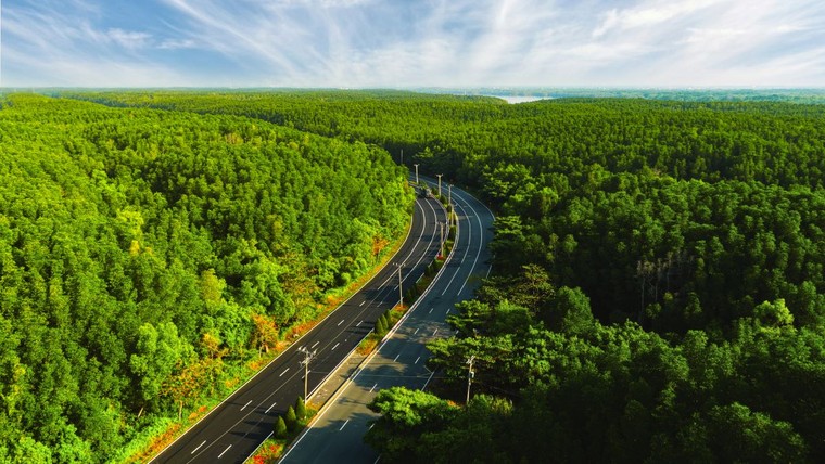 VnExpress Marathon Green Paradise Cần Giờ và những chuyển động đánh thức tiềm năng của điểm đến 40 triệu du khách ảnh 1