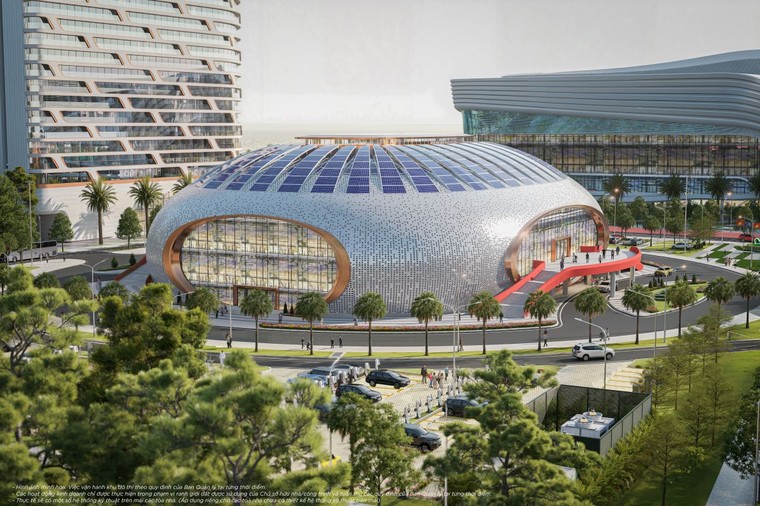 VnExpress Marathon Green Paradise Cần Giờ và những chuyển động đánh thức tiềm năng của điểm đến 40 triệu du khách ảnh 4