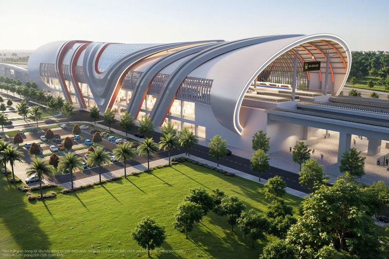 VnExpress Marathon Green Paradise Cần Giờ và những chuyển động đánh thức tiềm năng của điểm đến 40 triệu du khách ảnh 5