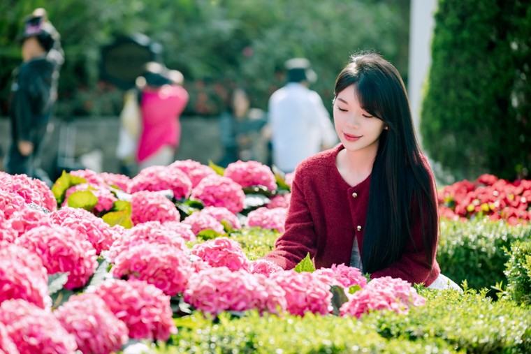 Dịp lễ 30/4 – 1/5, đừng bỏ lỡ "đại tiệc nghệ thuật, ẩm thực và bia trên đỉnh Bà Nà ảnh 4