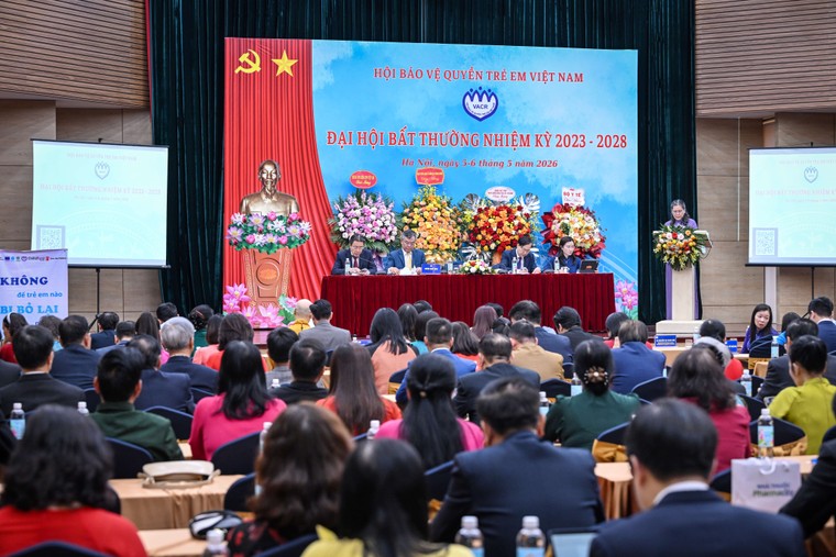 Phó Chủ tịch T&T Group Đỗ Vinh Quang tham gia Ban Chấp hành Hội Bảo vệ quyền trẻ em Việt Nam ảnh 2