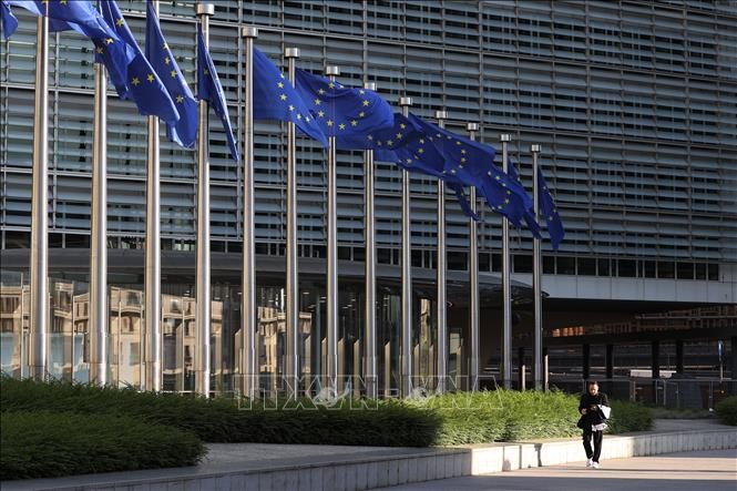 EU tăng cường tự chủ an ninh mạng bằng AI ảnh 1
