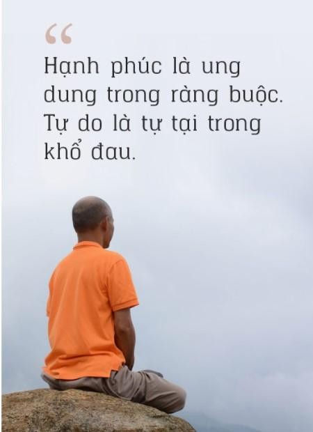Khi hành thiền, như mang từng sự vật vào phòng thí nghiệm để hiểu rõ thực chất bản chất của chúng.