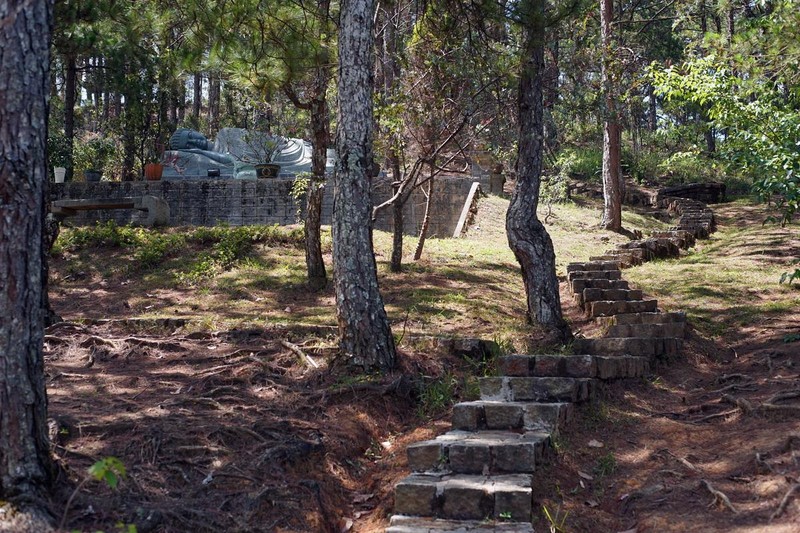 Chùa Linh Phong: Ngôi chùa mang vẻ đẹp đậm chất Đà Lạt ảnh 11