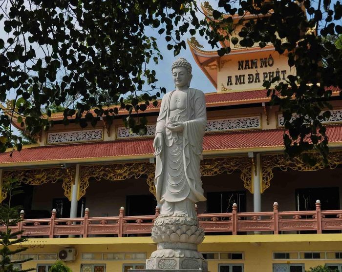 Chùa Vạn Linh: Chốn bình yên giữa thiên nhiên kỳ vĩ trên đỉnh núi Cấm ảnh 8