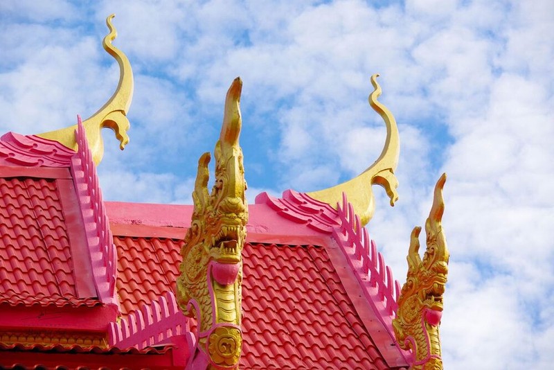 Độc đáo ngôi chùa màu hồng nằm giữa hàng trăm cây còng ở An Giang ảnh 9