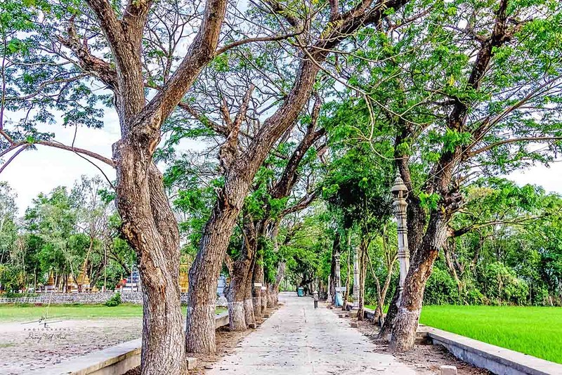 Độc đáo ngôi chùa màu hồng nằm giữa hàng trăm cây còng ở An Giang ảnh 2