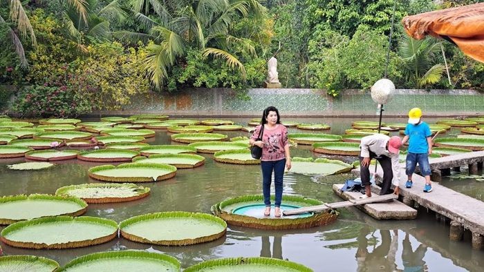 Vẻ đẹp cổ kính và độc đáo của chùa Lá Sen ở Đồng Tháp ảnh 6