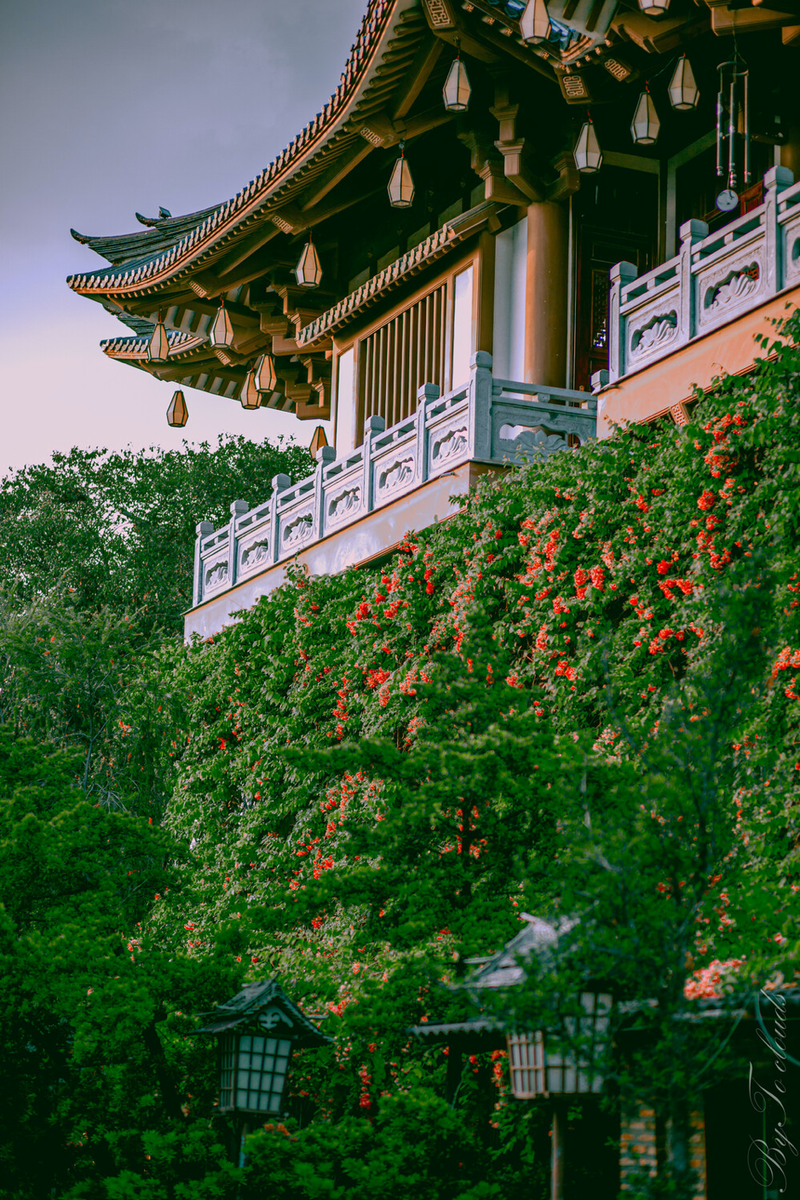 Ngắm nhìn vẻ đẹp của tu viện 118 năm tuổi thanh tịnh an yên ở TP. HCM ảnh 2