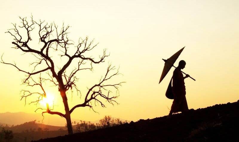 Suy ngẫm về sống chết ảnh 1