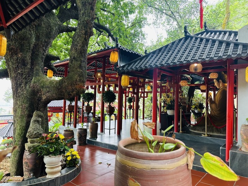 Chùa Cây Thị: Ngôi chùa cổ linh thiêng có không gian yên bình ảnh 4