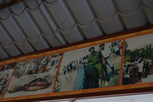 Ngôi chùa có mộ cá voi hơn 10 tấn ảnh 9