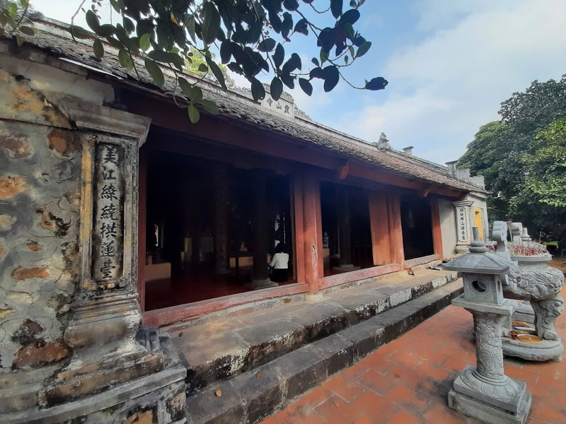 Cây tùng cổ 700 tuổi tỏa bóng mát che chùa Linh Sơn ảnh 5